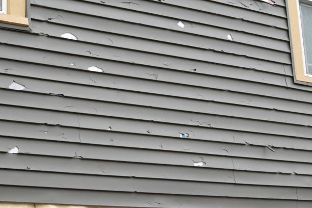 Professional Siding Installation & Repair in Mountain House, CA